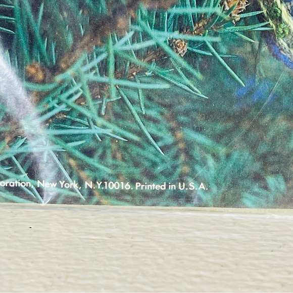 Vintage 1978 Crewel kit Christmas ornaments Angel and Star #7860 Columbia miner - Picture 10 of 10